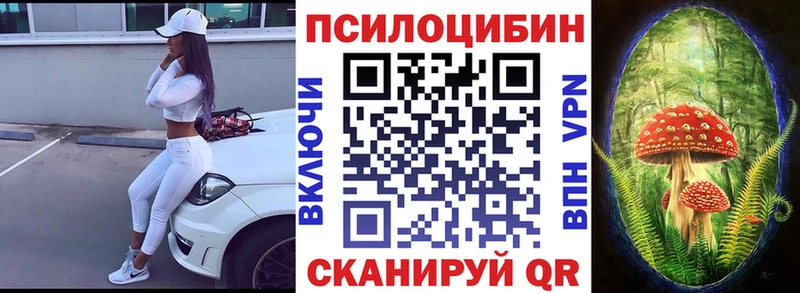 MEGA tor  Шацк  Псилоцибиновые грибы ЛСД 